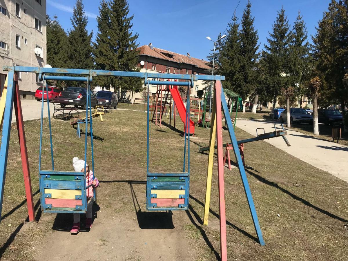 Ferienwohnung Garsoniera Mandrilor Slănic Exterior foto